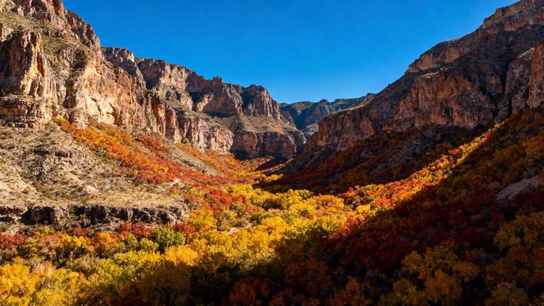 Discover the Underrated Beauty of Big Bend National Park's Fall Canyons in Texas