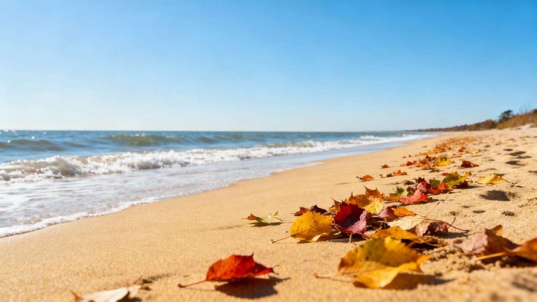 Most People Ignore This State, but Its Autumn Beaches Are Empty and Beautiful (Delaware)
